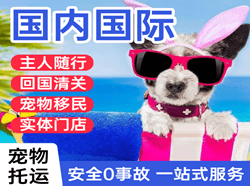 梧州西江航空运输国际宠物托运 【国